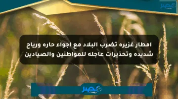 أمطار غزيرة تضرب البلاد مع أجواء حارة ورياح شديدة وتحذيرات عاجلة للمواطنين والصيادين
